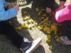 20190507_164604