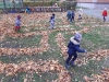 20201104_113221