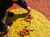 wp_20190927_11_35_23_pro