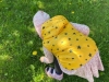 image5